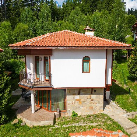 Pamporovo Cottage Savov Kültér fotó