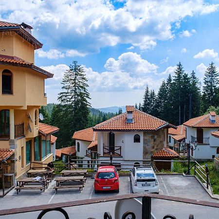 Pamporovo Cottage Savov Kültér fotó