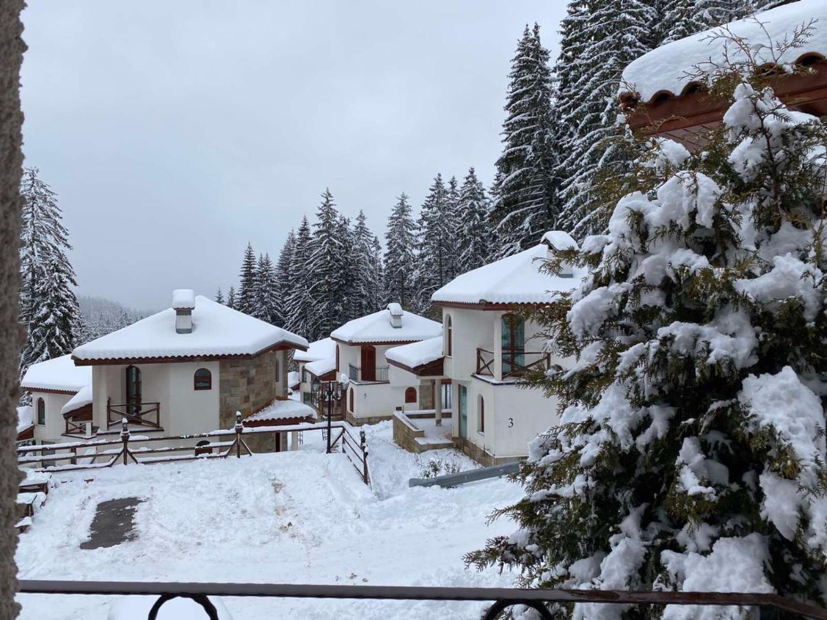 Pamporovo Cottage Savov Kültér fotó