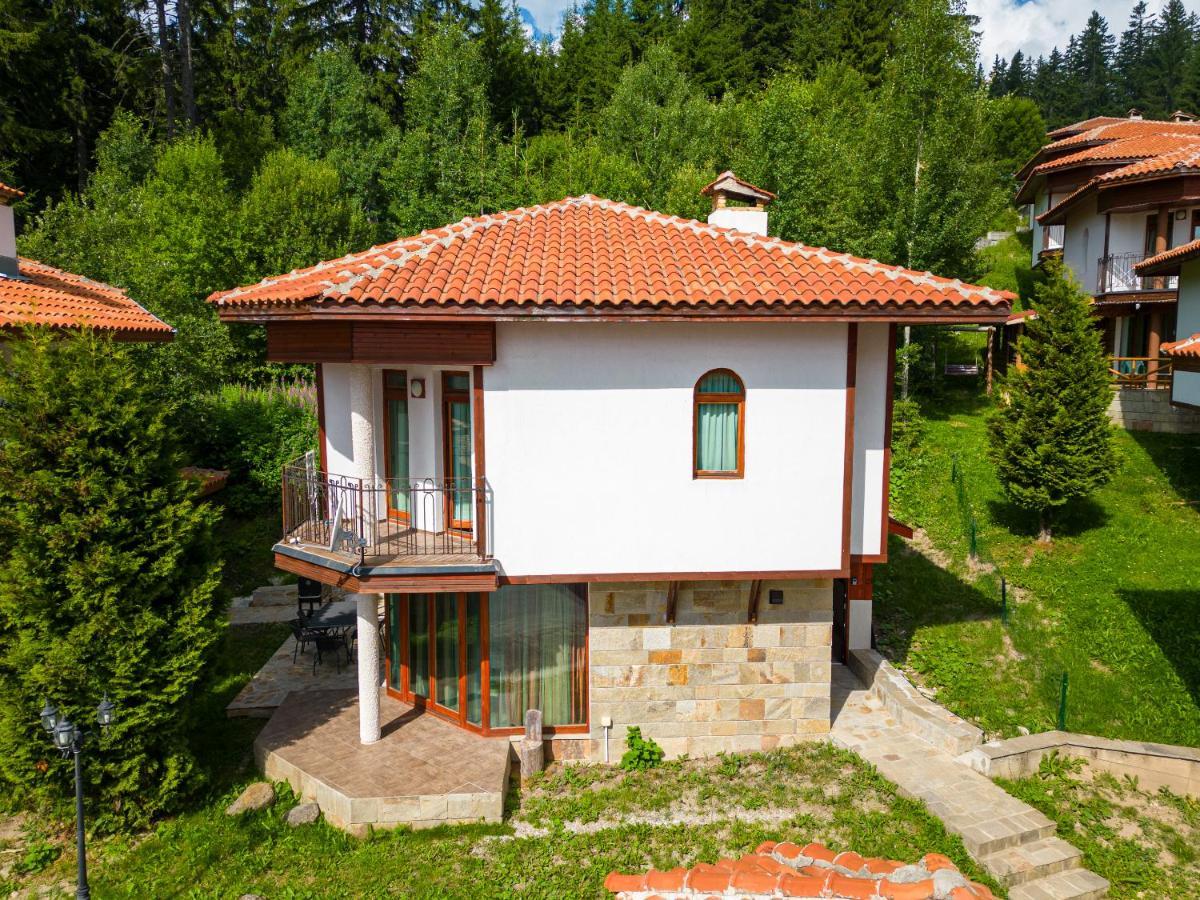 Pamporovo Cottage Savov Kültér fotó