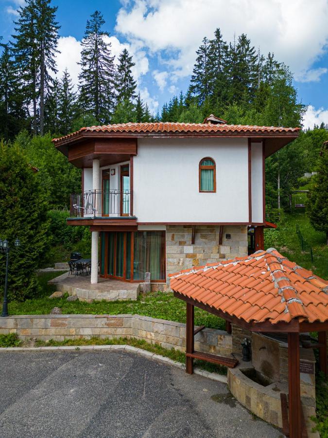 Pamporovo Cottage Savov Kültér fotó